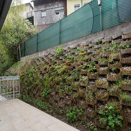 Aurora Puchberg Puchberg am Schneeberg