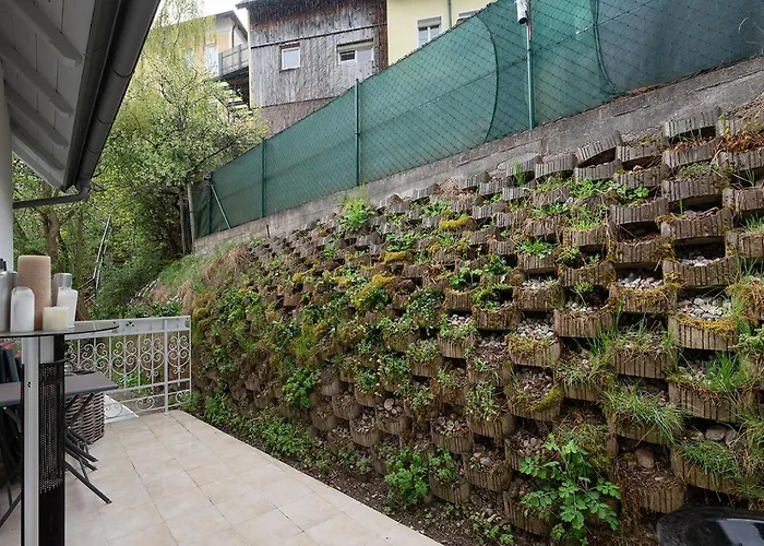 Aurora Puchberg بوتشبرغ ام شنيبرغ